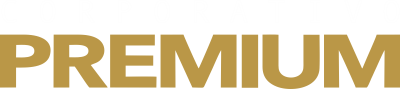 Logo Corporativo Premium